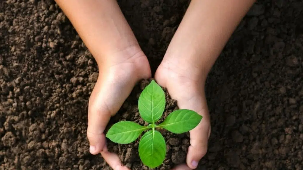 One Step Towards Peace (OSTP) - NGO / NPO