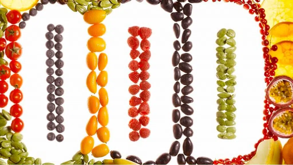 Param Healthy Foods