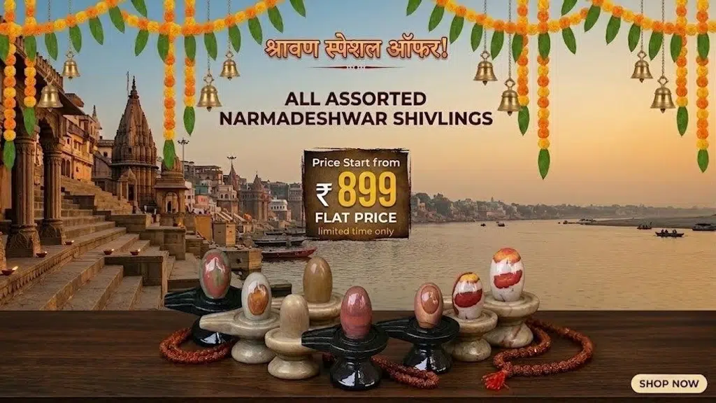 Parth Narmadeshwar Shivling