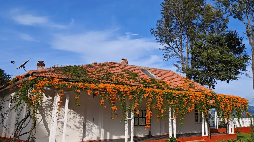 Ibex River Resort