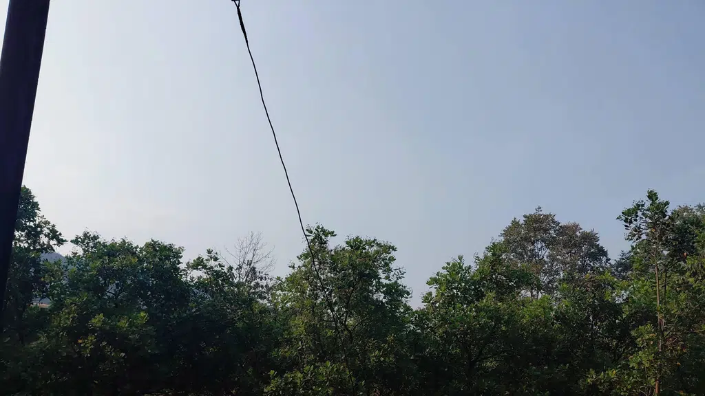 Rajwadi Bhaji