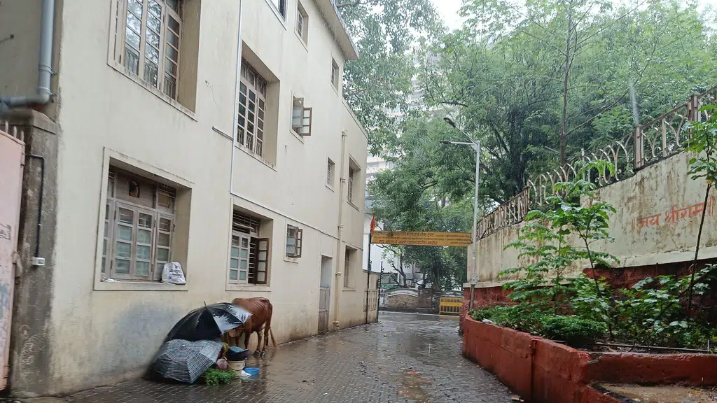 ArtofLiving-South Mumbai