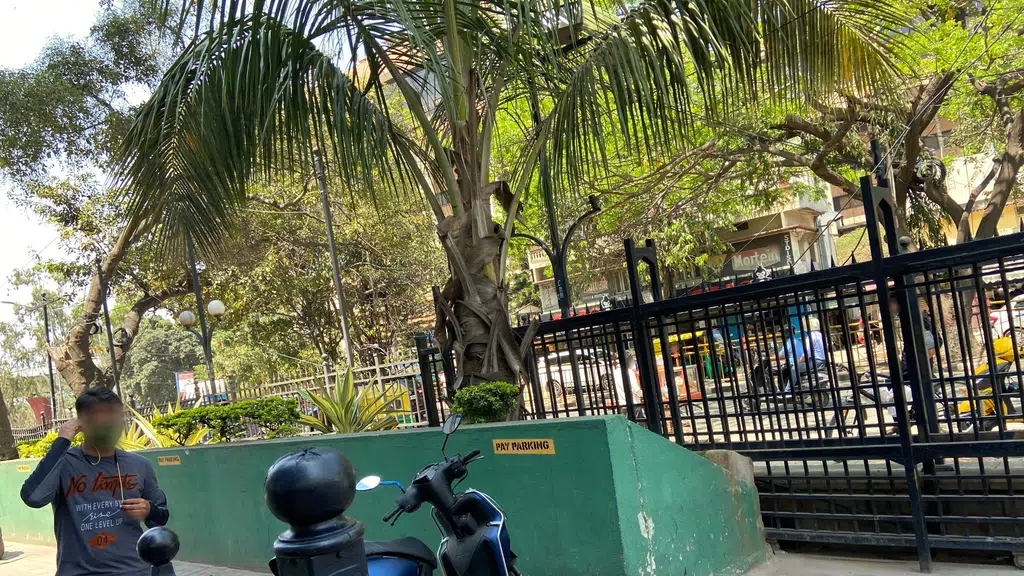 Mysore Donne Biryani House