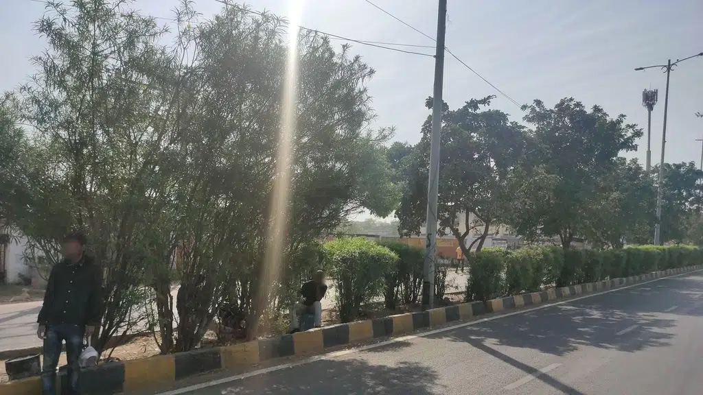 Charbhuja Grani Marmo