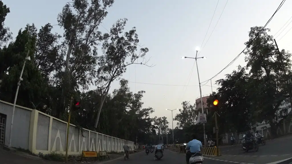 High Court of Madhya Pradesh