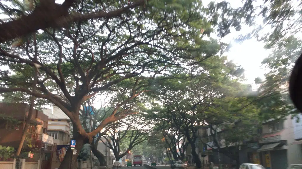 Rajajinagar Tiffin Room