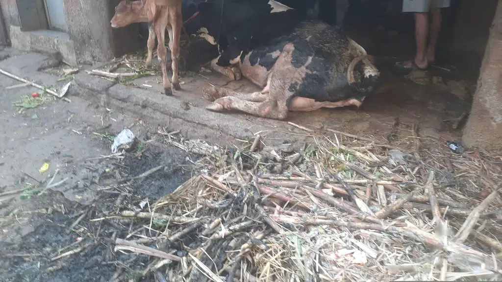 Tirupati Arogya Chikitsalay