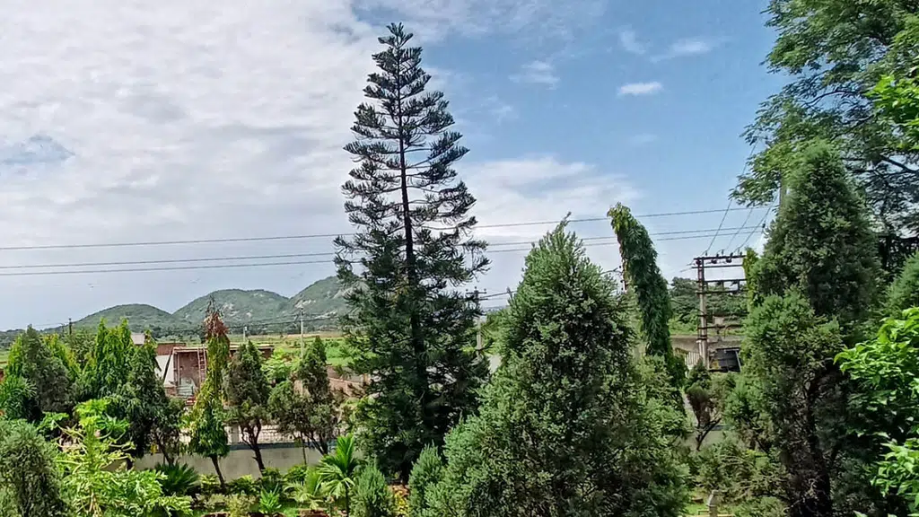 Achhruram Memorial College