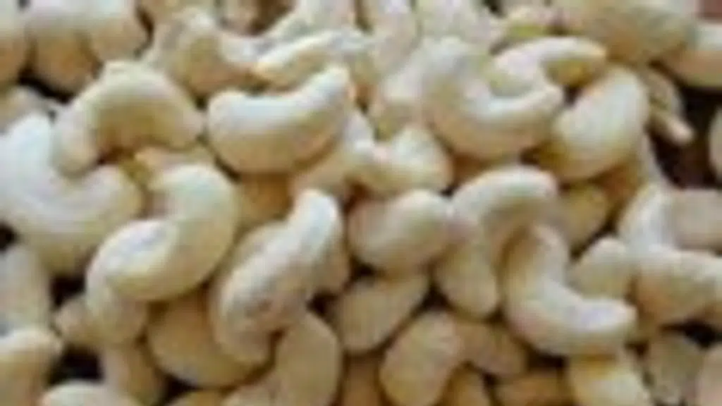 Walavalkars Cashew Traders & Wholesalers