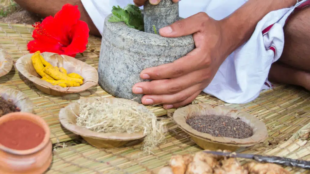 Nandavanam Kerala Ayurveda Panchakarma