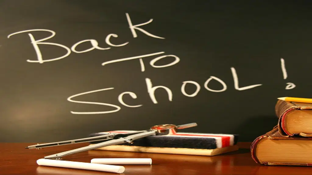 Montfort International School