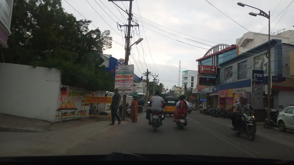 Ginger Pondicherry