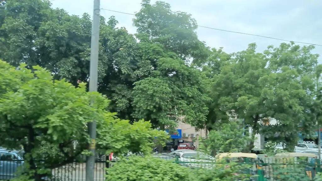 DAAD India