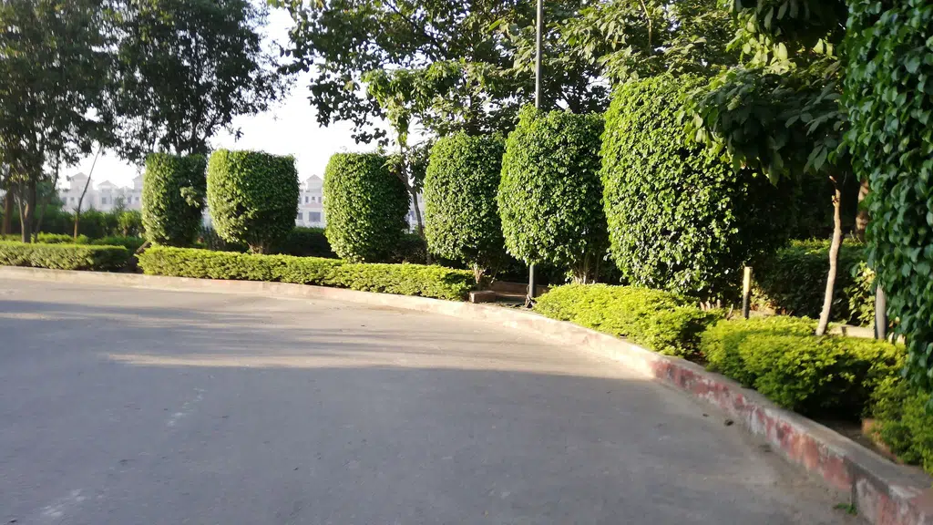 BE Fitness  at Panchavati colony