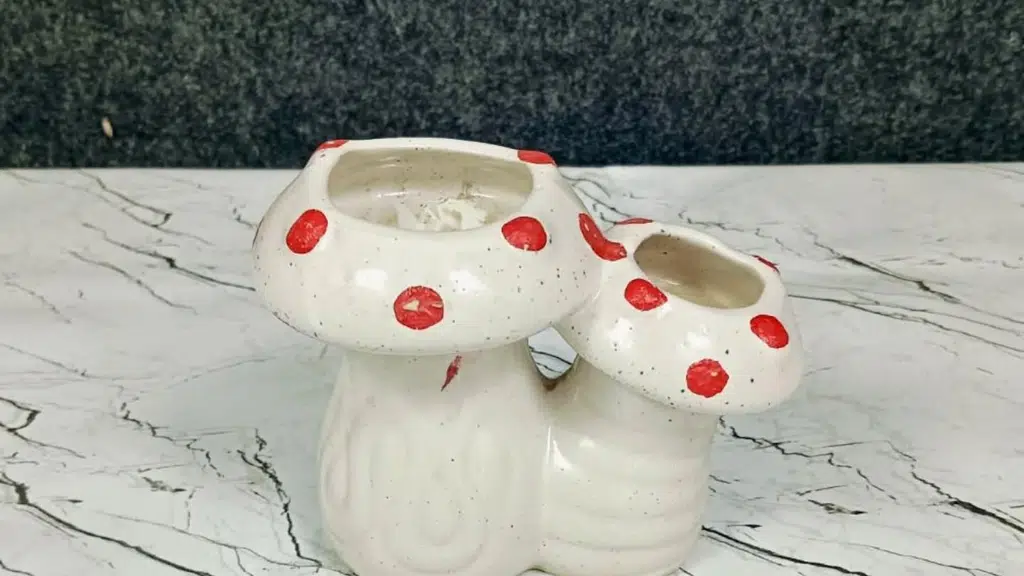 DPAARA® - Khurja Ceramic
