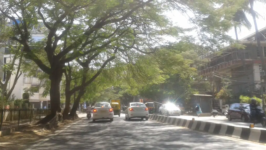 Chamundi Kalyana Mandira
