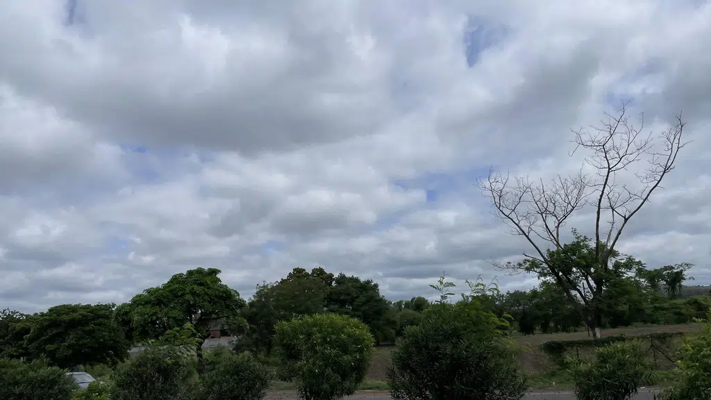 Shivneri Swast Aushadhi ladsawangi