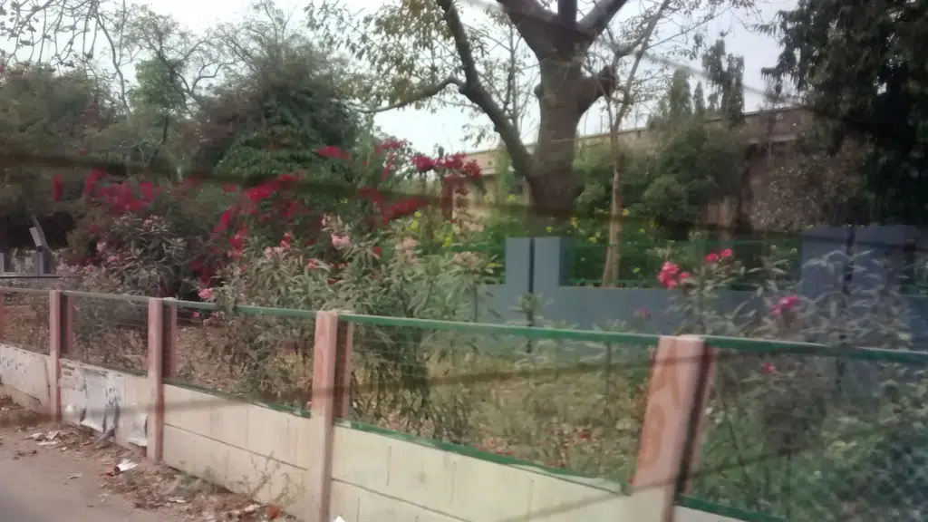 Gujarat University Senate Hall