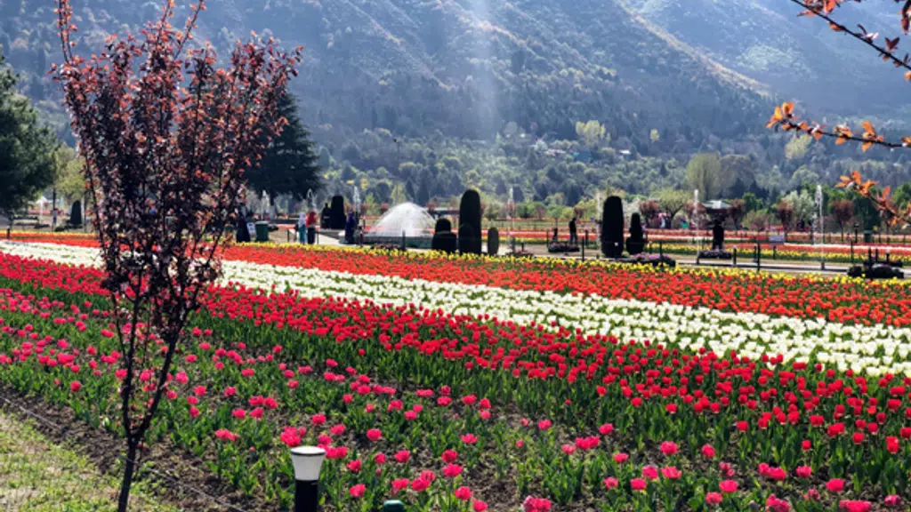 Diplomat Hotel Srinagar