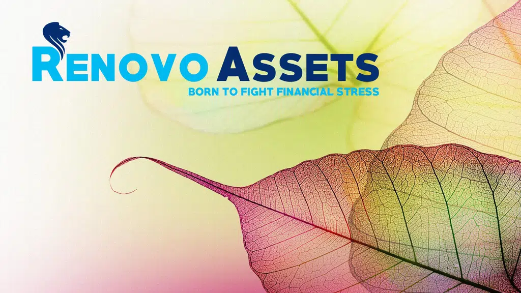Renovo Assets Private Limited