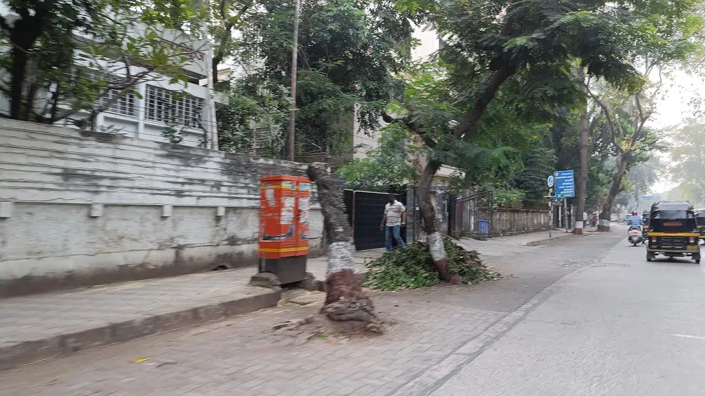 Radha Kunj