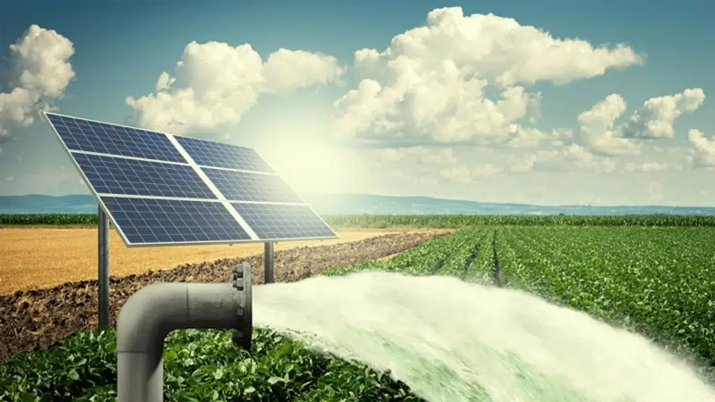 Raimond Solar
