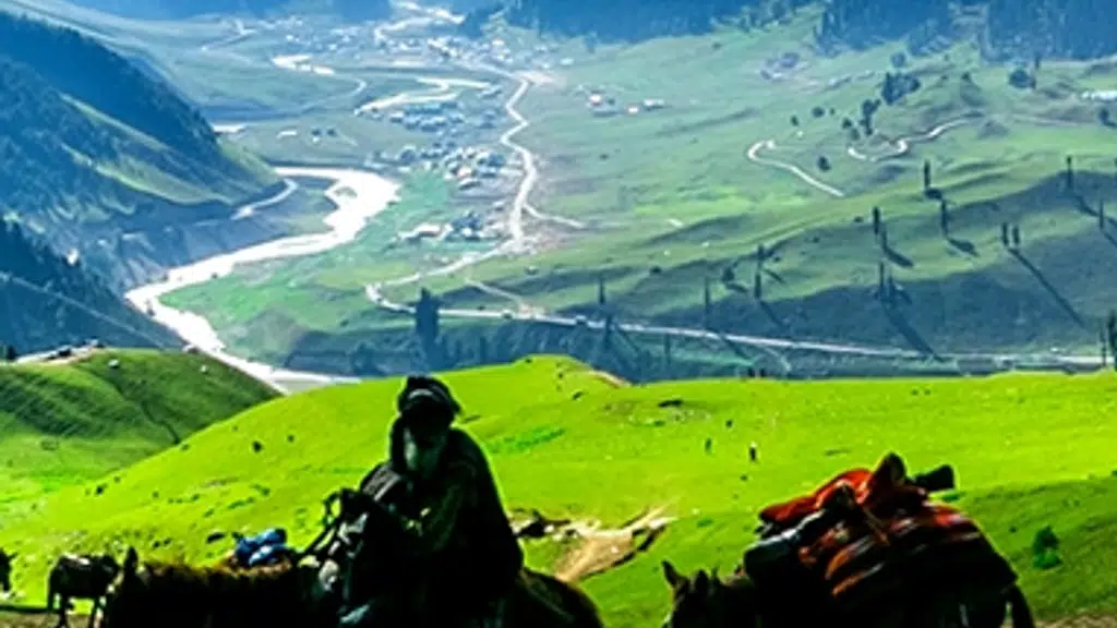 Bajaj Travels Limited