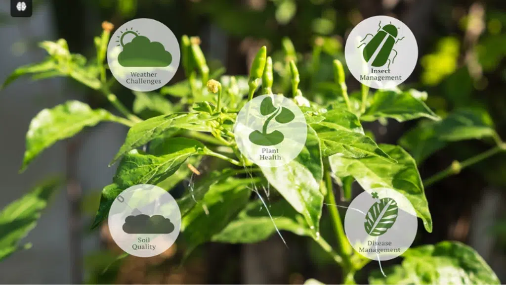 Guru kripa green house nursery and agro farm