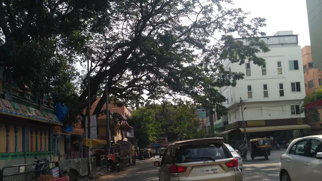 Dr. C Ashwath Kala Bhavana
