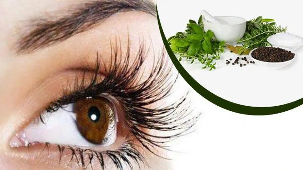 Sanjeevani Ayurveda Chikitsalaya and Panchakarma Kendra