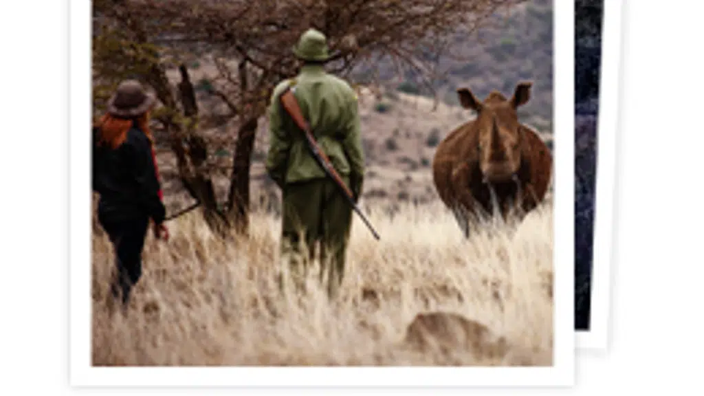 Osiyan Safari Camp