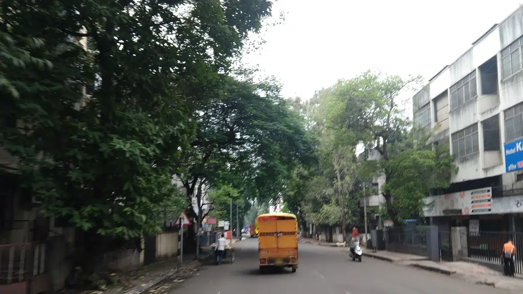Irani chaha