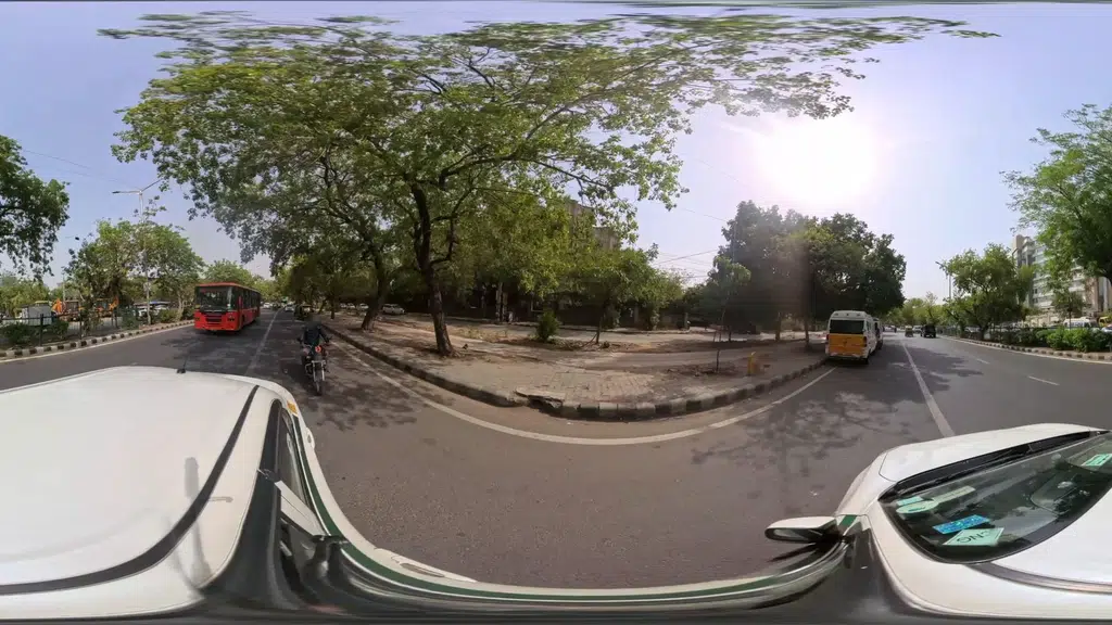 Study Path