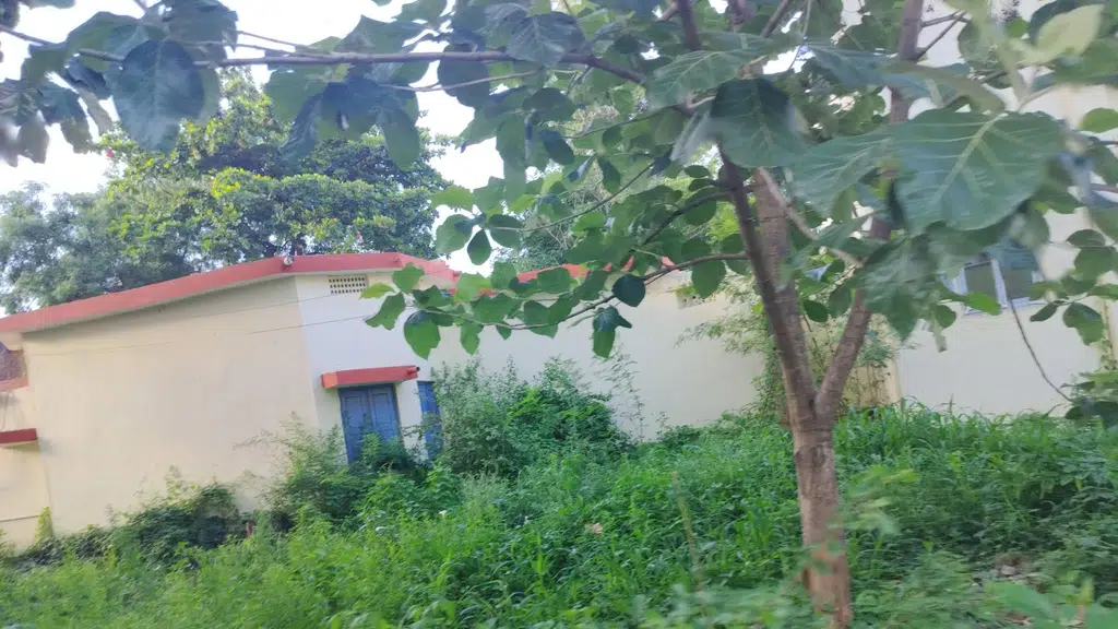 B Naveen Kumar Kirana and General Store