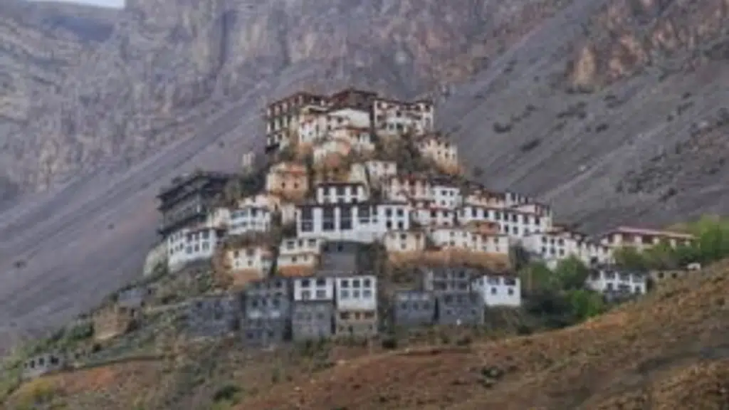 Saini Tour & Travel