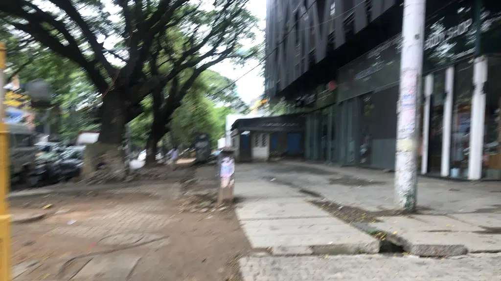 Momos Under The Tree