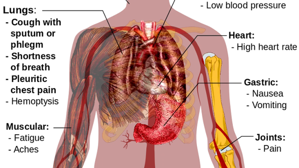 Dr Ajay's Homeopathy Clinic