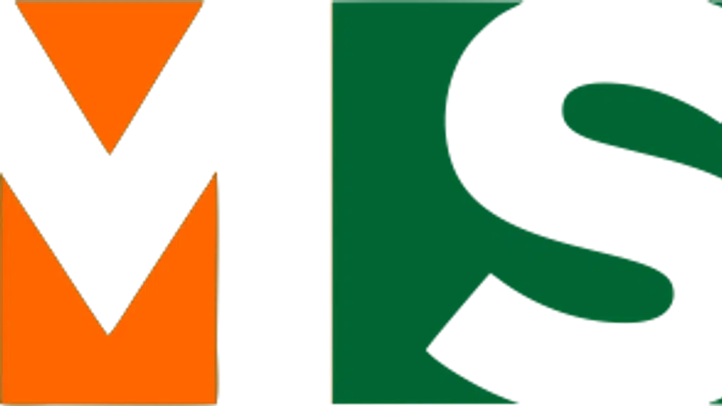 MS Computers