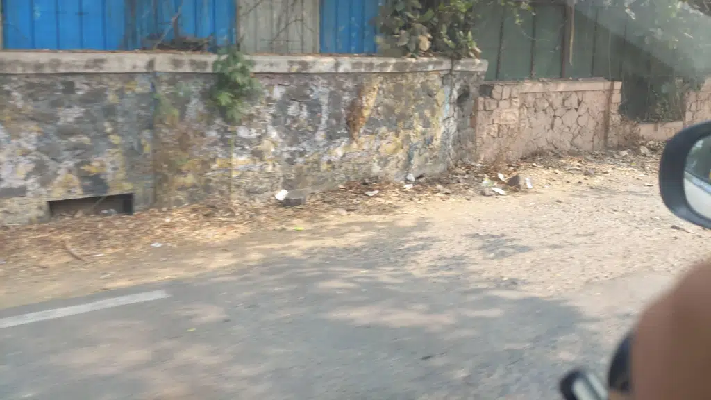 Bharat Brand