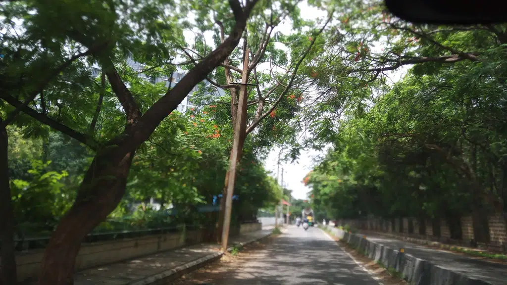 Jhu Beach Bombay