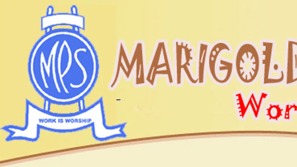 Marigold public school , Bayana