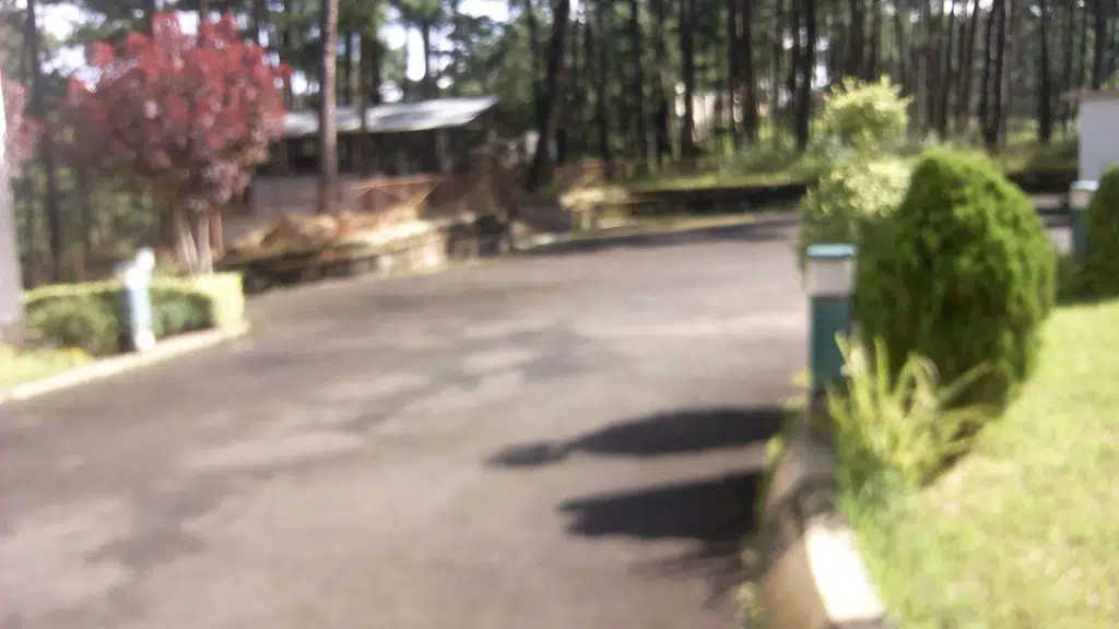 North-Eastern Hill University, Shillong, Meghalaya, India