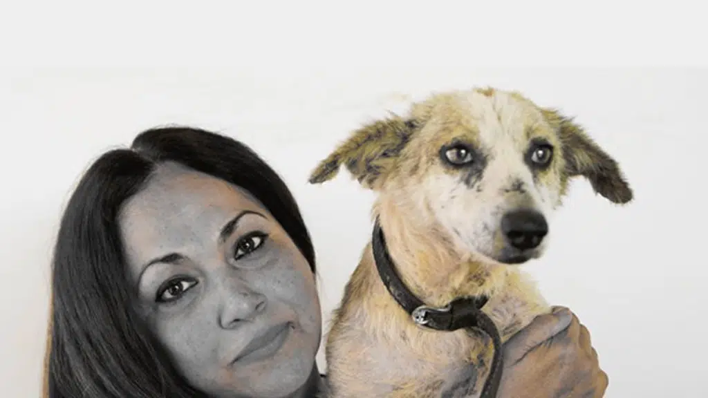 Animal Rescue Trust - Pune
