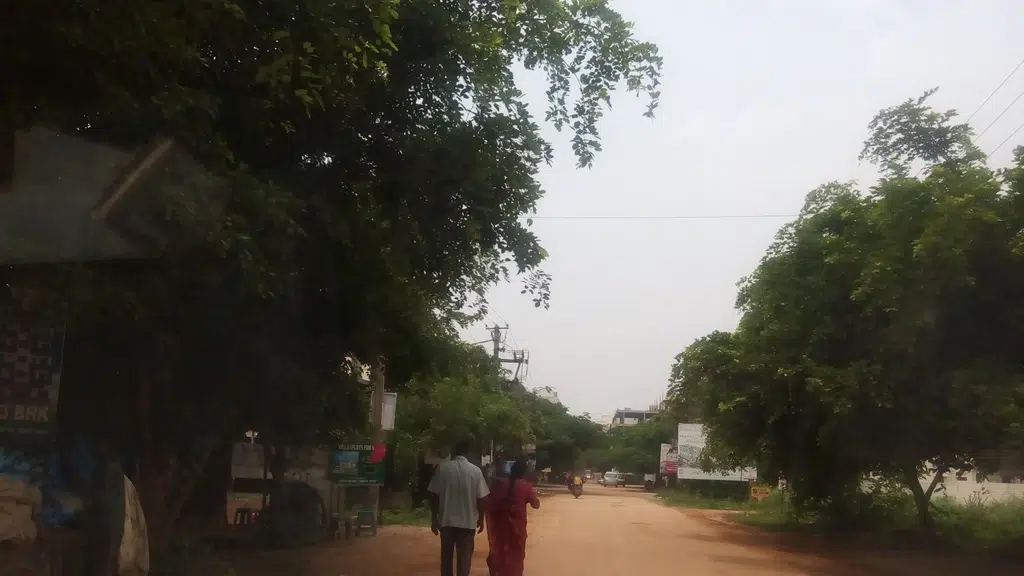 Organic Mandya Farmers Market