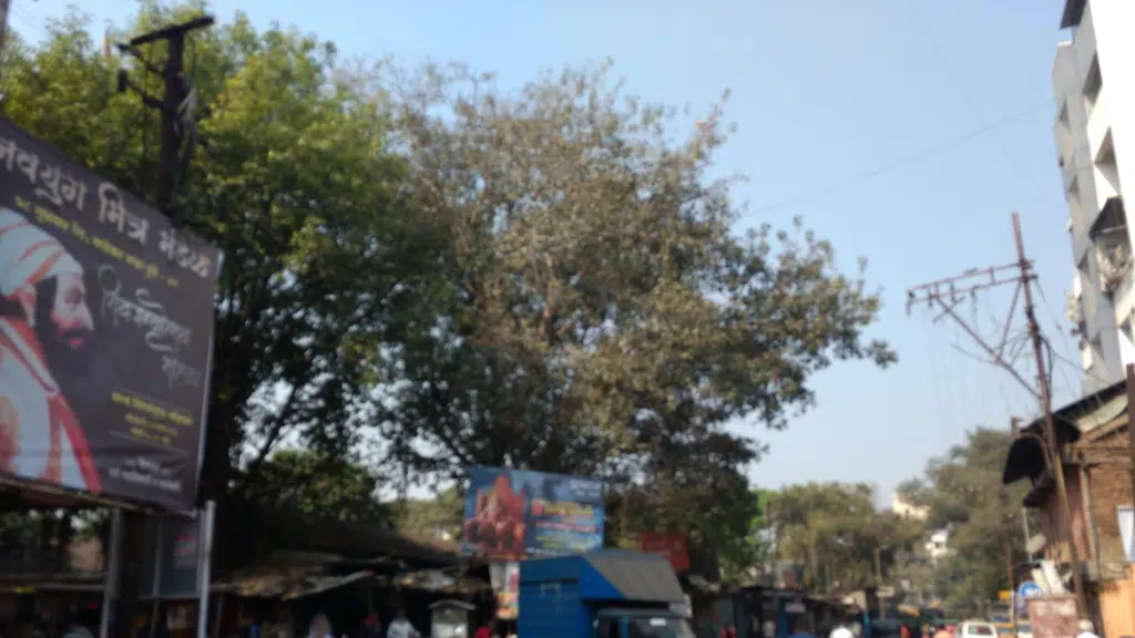 Bharat Sales Service and Spares