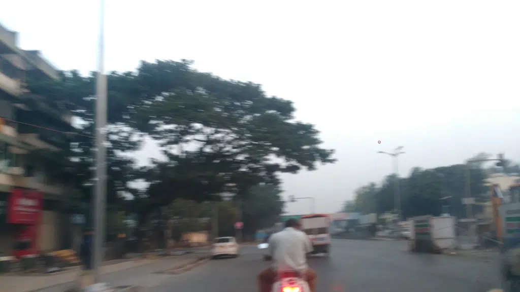 Baasuri Pure Veg