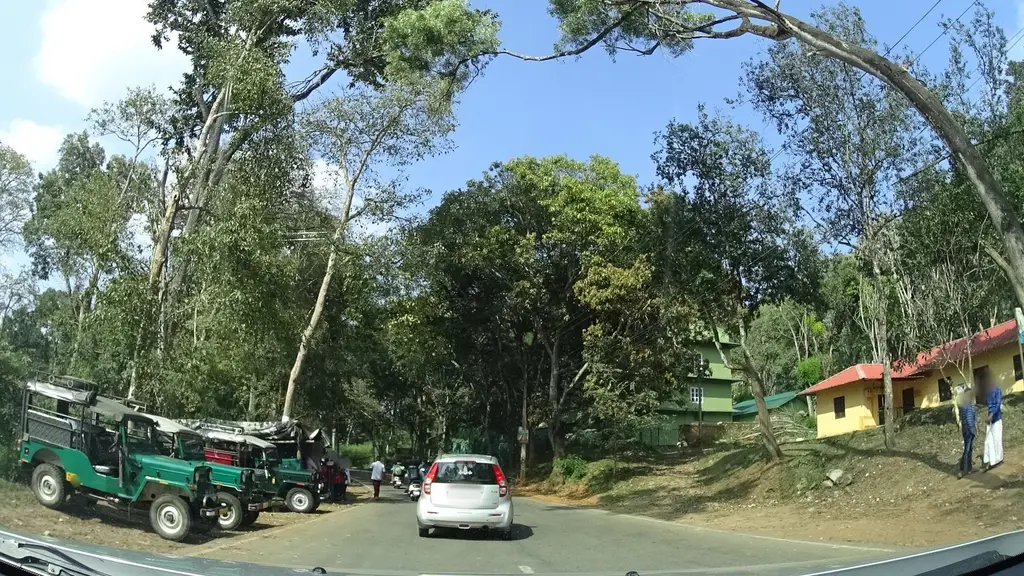 Wayanad Wildlife Sanctuary