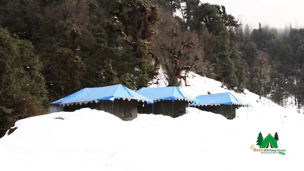 Buzz Ecocamp, Chopta