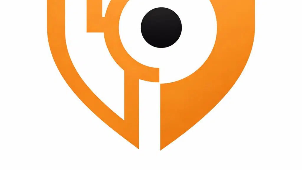 Camman Surveillance Solutions