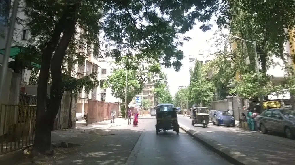 Manoj Joshi
